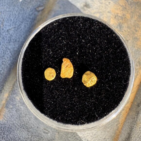 California Gold Nuggets in Display Case - 0.31 grams - Picture 2 of 4
